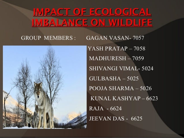essays depletion of forest and ecological imbalance